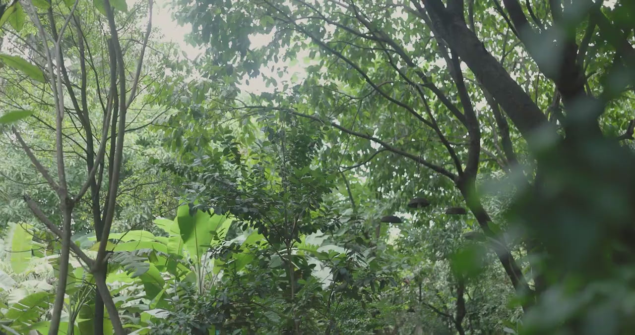 Luxury Cinematic Wedding Films & Documentary Storytelling